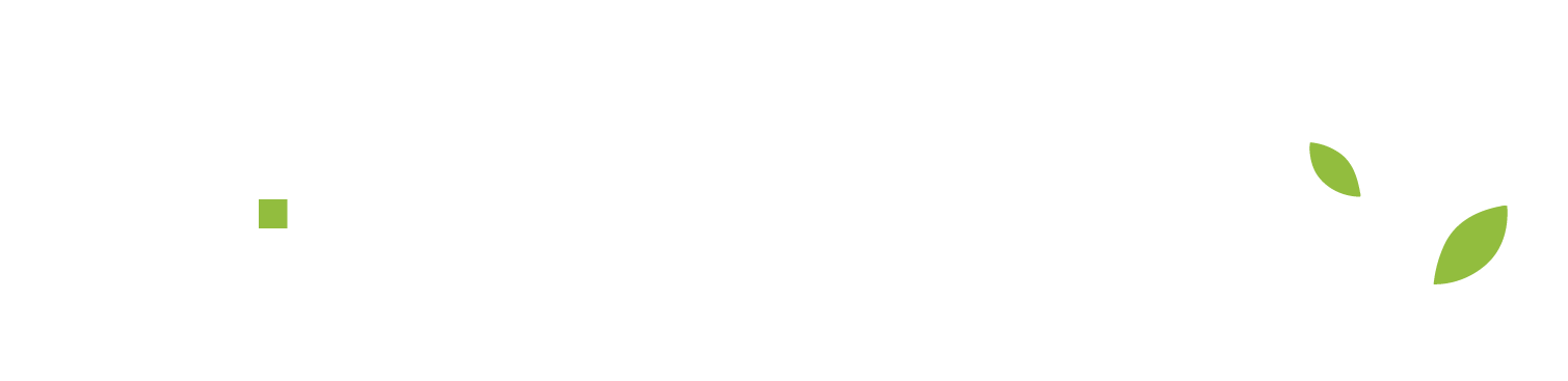سرمایه گذار