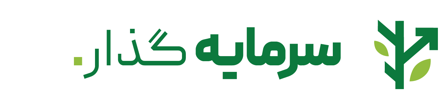 سرمایه گذار